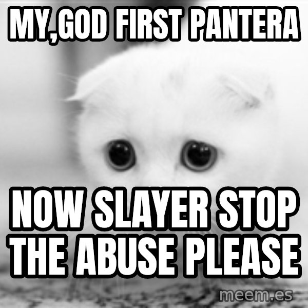 Sadcat meme: my,god first pantera / now slayer stop the abuse please