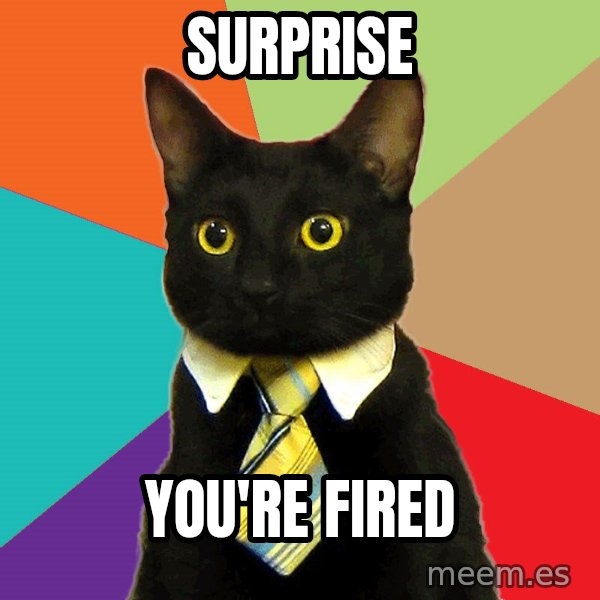 Business Cat meme: surprise / You're fired