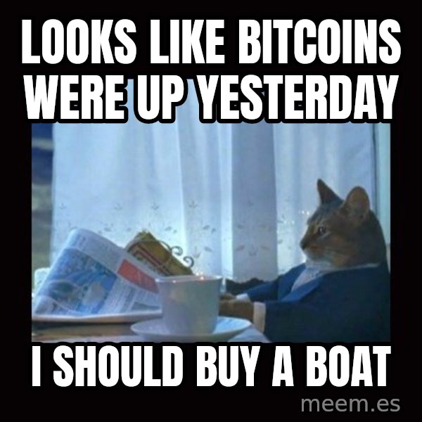 i should buy a boat cat meme: Looks like bitcoins were up yesterday / I should buy a boat