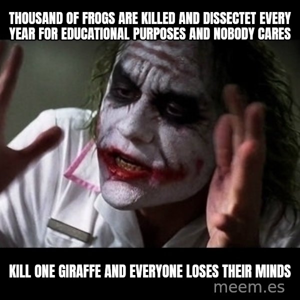 joker mind loss meme: tHOUSAND OF FROGS ARE KILLED AND DISSECTET EVERY YEAR FOR EDUCATIONAL PURPOSES AND NOBODY CARES / kILL ONE gIRAFFE AND EVERYONE LOSES THEIR MINDS