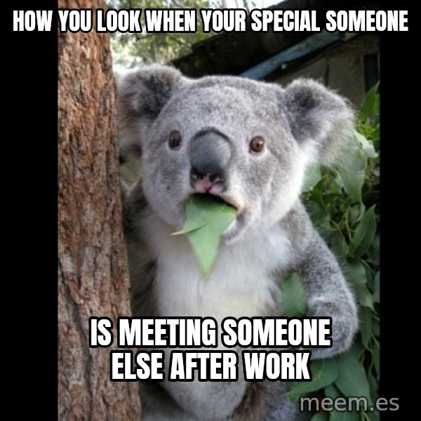 Koala can't believe it meme: How you look when youR SPECIAL SOMEONE / IS MEETING SOMEONE ELSE AFTER WORK