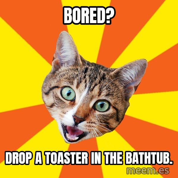 Bad Advice Cat meme: bored? / drop a toaster in the bathtub.