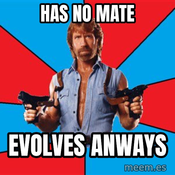 Chuck Norris  meme: HAs no mate / Evolves anways