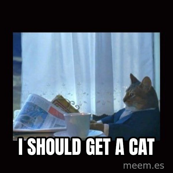 i should buy a boat cat meme: I should get a cat