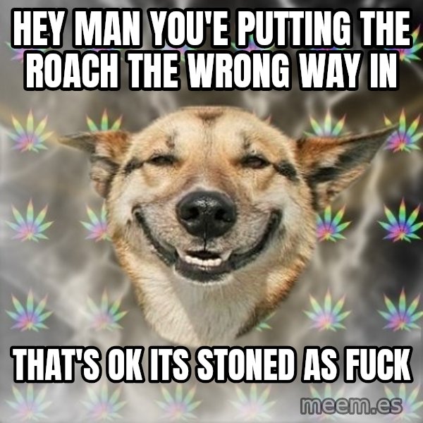 Stoner Dog meme: hey man you'e putting the roach the wrong way in / that's ok its stoned as fuck