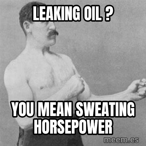 overly manlyman meme: Leaking oil ? / You mean sweating horsepower