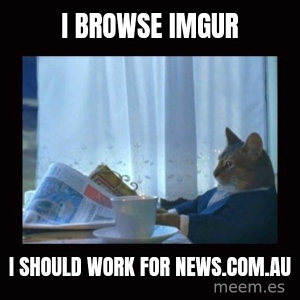 i should buy a boat cat meme: I browse imgur / i should work for news.com.au
