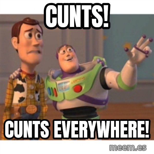 Toy story meme: Cunts! / Cunts everywhere!