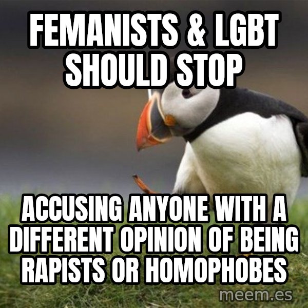 Unpopular Opinion Puffin meme: Femanists & lgbt Should stop / Accusing anyone with a different opinion of being rapists or homophobes