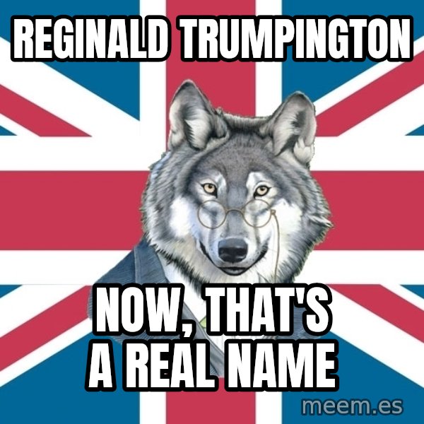 Sir Courage Wolf Esquire meme: Reginald trumpington / now, that's a real name