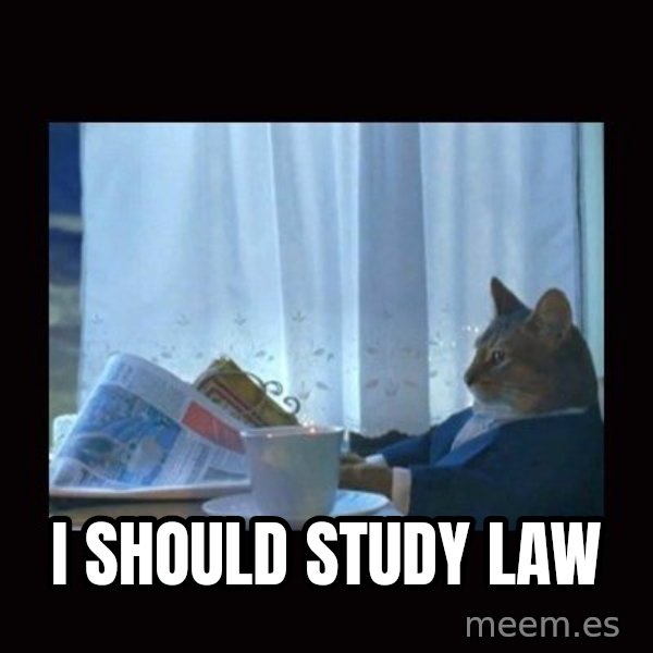 i should buy a boat cat meme: I SHOULD STUDY LAW