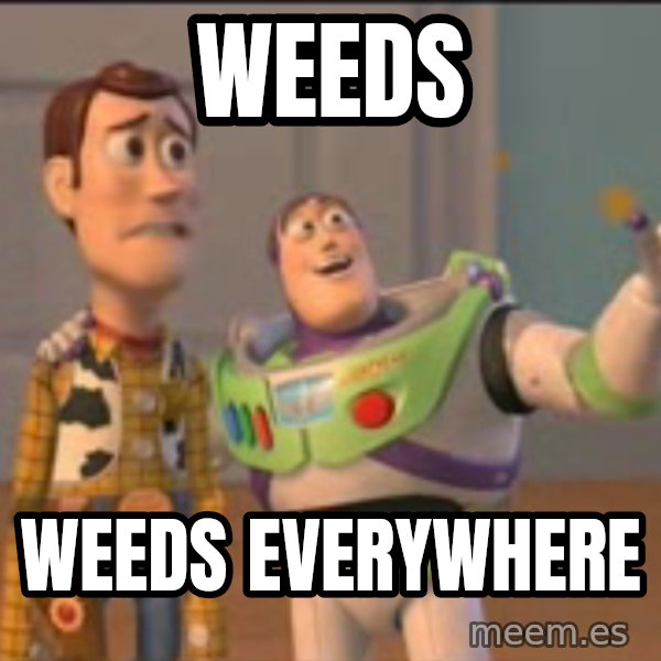 X, X Everywhere  meme: Weeds / Weeds Everywhere