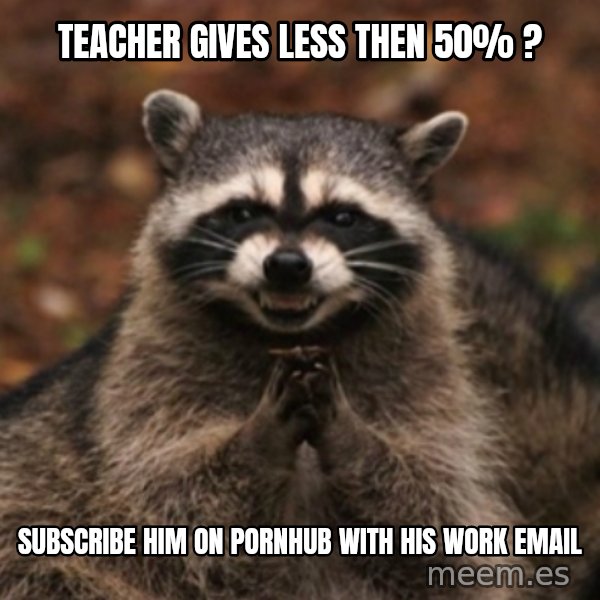 evil raccoon meme: teacher gives less then 50% ? / subscribe him on pornhub with his work email