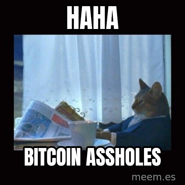 i should buy a boat cat meme: haha / bitcoin assholes