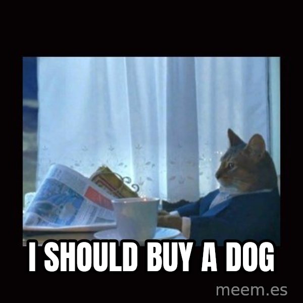 i should buy a boat cat meme: I should buy a dog