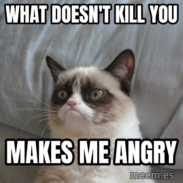 Grumpy cat good meme: What doesn't kill you / Makes me angry