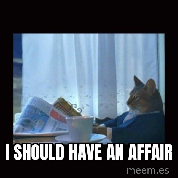 i should buy a boat cat meme: I should have an affair