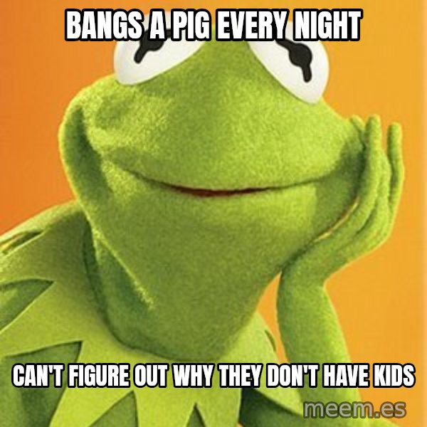 Kermit the frog meme: bangs a pig every night / can't figure out why they don't have kids