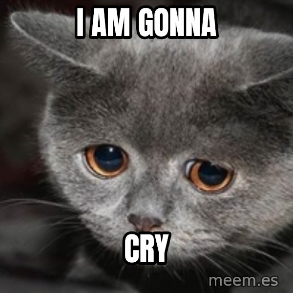 Sadcat meme: I am gonna / Cry