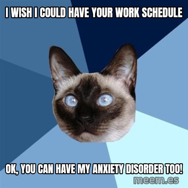 Chronic Illness Cat meme: I wish I could have your work schedule / ok, you can have my anxiety disorder too!