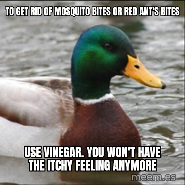 Actual Advice Mallard 1 meme: to get rid of mosquito bites or red ant's bites / use vinegar. you won't have the itchy feeling anymore