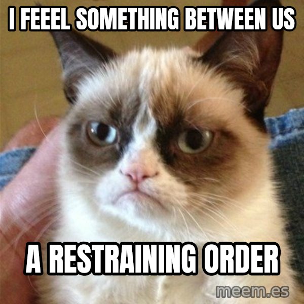 Grumpy Cat  meme: I FEEEL SOMETHING BETWEEN US / A RESTRAINING ORDER