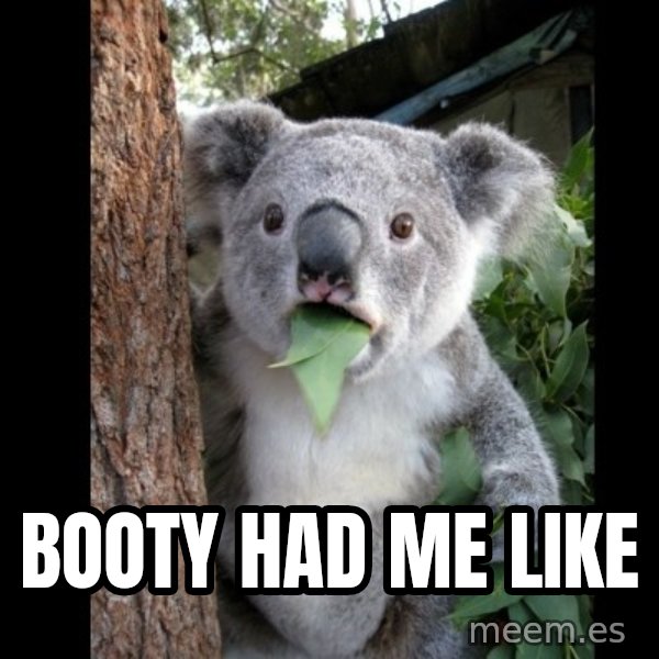 Koala can't believe it meme: Booty had me like