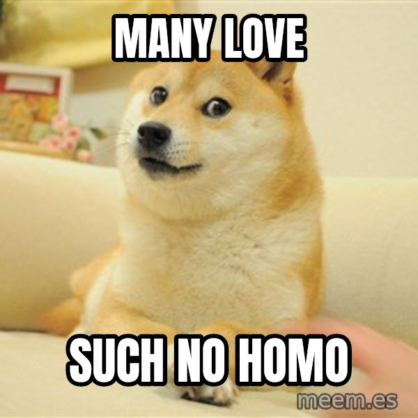 so doge meme: many love / such no homo