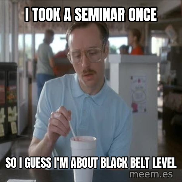 so i guess you could say things are getting pretty serious meme: i took a seminar once / so i guess i'm about black belt level