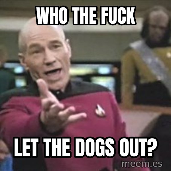 Captain Picard meme: who the fuck / let the dogs out?