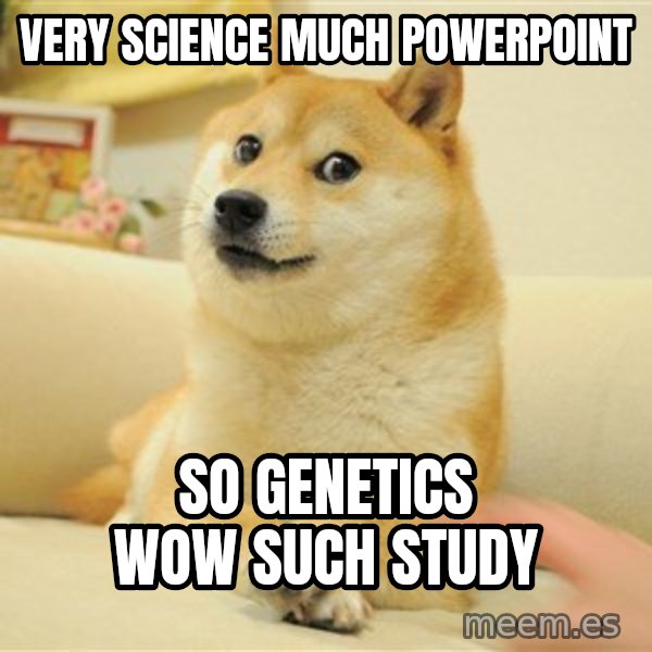 so doge meme: Very science             Much PowerPoint / So genetics                Wow         Such study