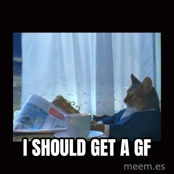 i should buy a boat cat meme: I should get a gf