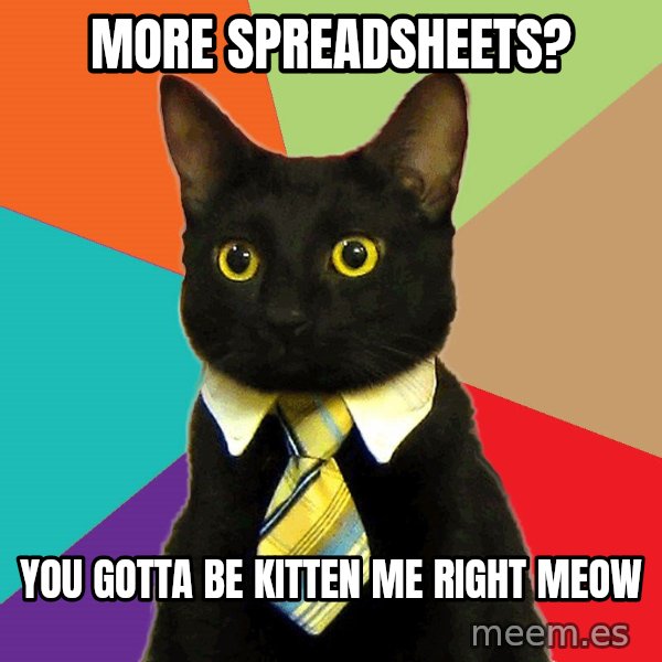 Business Cat meme: more spreadsheets? / you gotta be kitten me right meow