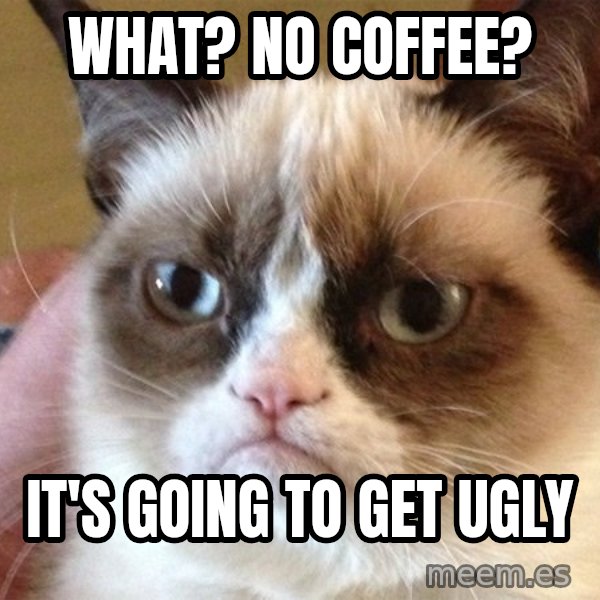 Angry Cat Meme meme: what? No coffee? / It's going to get ugly