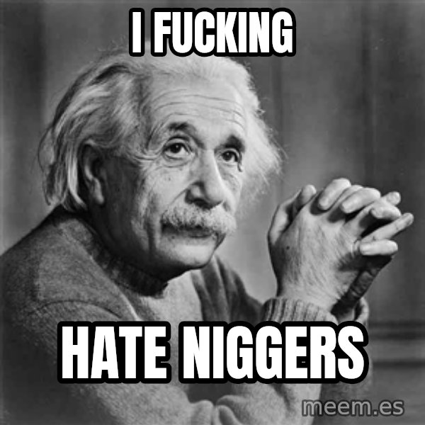 Albert Einstein meme: I fucking / Hate niggers