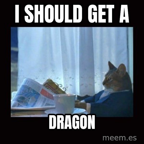 i should buy a boat cat meme: I should get a / Dragon