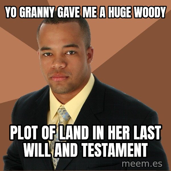 Successful Black Man meme: Yo granny gave me a huge woody / Plot of land in her laSt will and testament