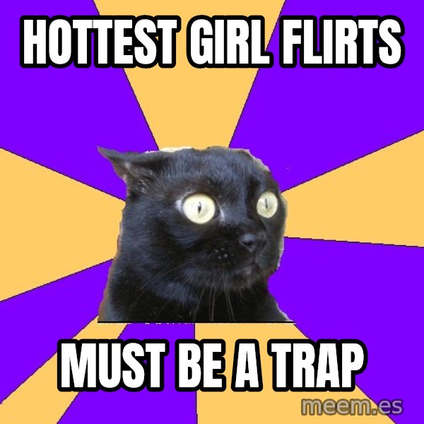 Anxiety Cat meme: hottest girl flirts / must be a trap