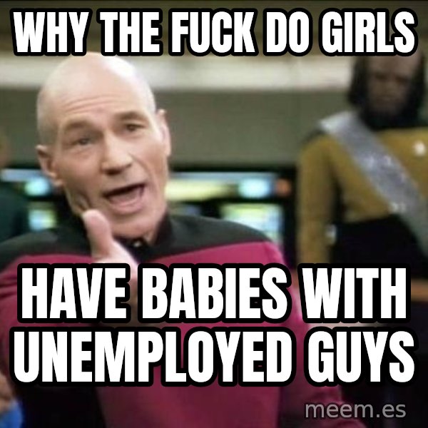 Why the fuck meme: Why the fuck do girls / Have babies with unemployed guys