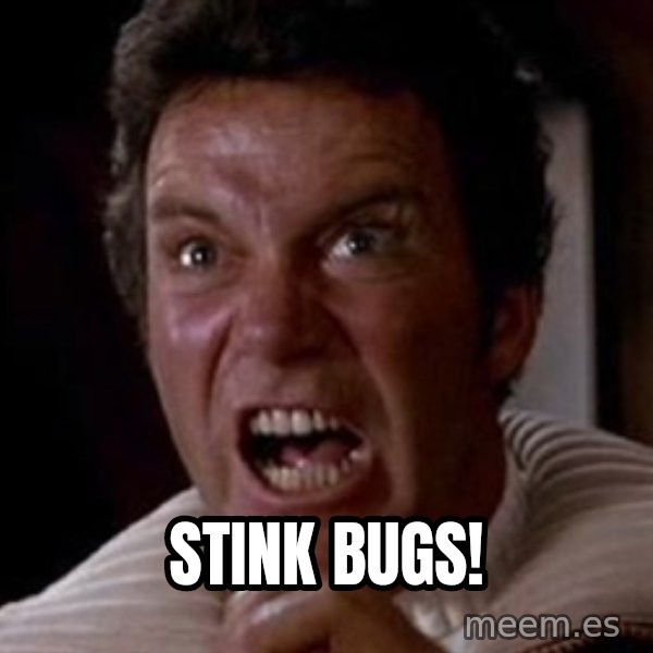Khan meme: STINK BUGS!