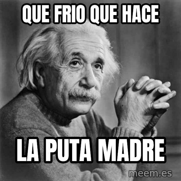 Albert Einstein meme: que frio que hace / la puta madre
