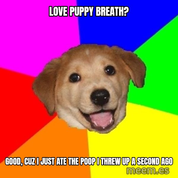Advice Dog meme: love puppy breath? / good, cuz i just ate the poop i threw up a second ago