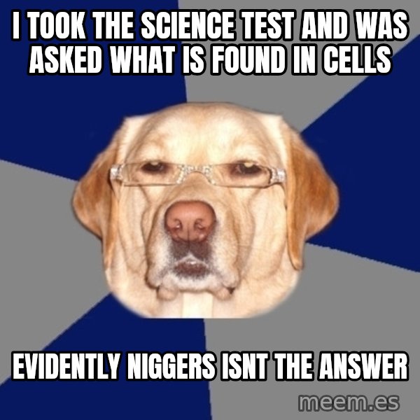 Racist Dog meme: I took the science test and was asked what is found in cells / evidently niggers isnt the answer