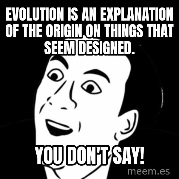 you don't say meme meme: Evolution is an explanation of the origin on things that seem designed. / You don't Say!