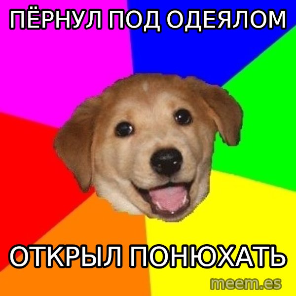 Advice Dog meme: пёрнул под одеялом / открыл понюхать