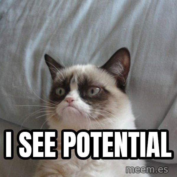 Grumpy cat good meme: I SEE Potential