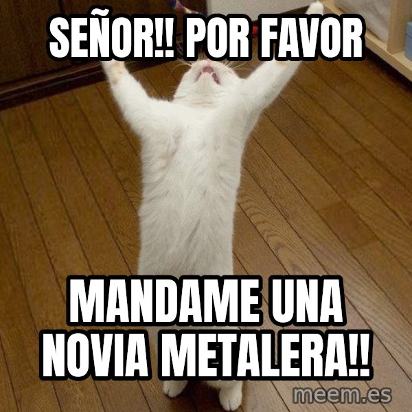praise the lord cat meme: Señor!! POr favor / Mandame Una Novia Metalera!!