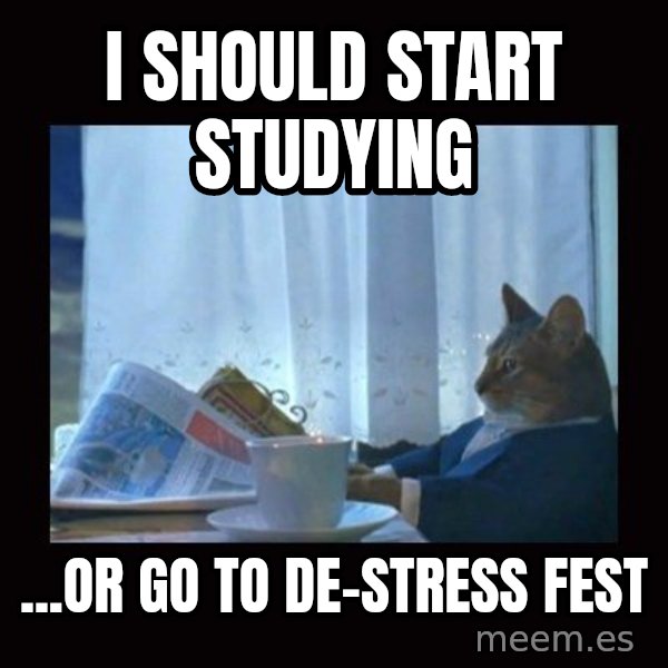i should buy a boat cat meme: I should start studying / ...or go to de-stress fest