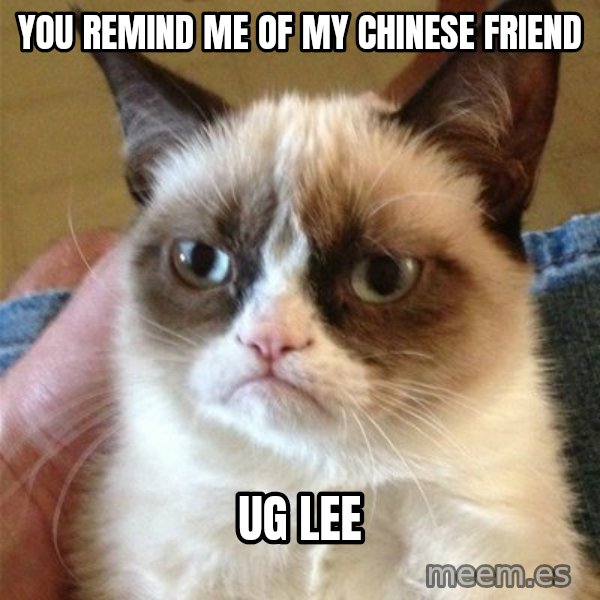 Grumpy Cat  meme: You remind me of my chinese friend / Ug lee