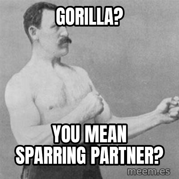 overly manlyman meme: gorilla? / you mean sparring partner?